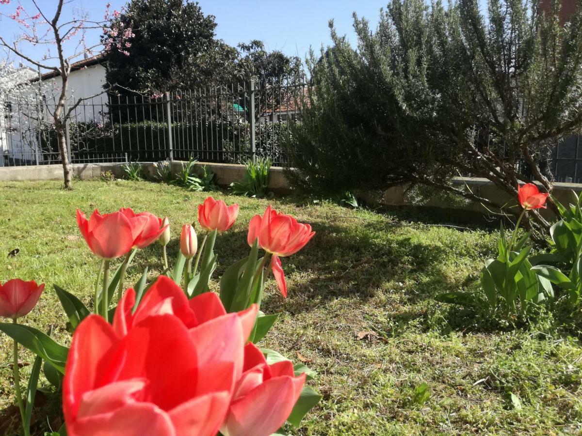 Home Di Federico Chivasso Buitenkant foto